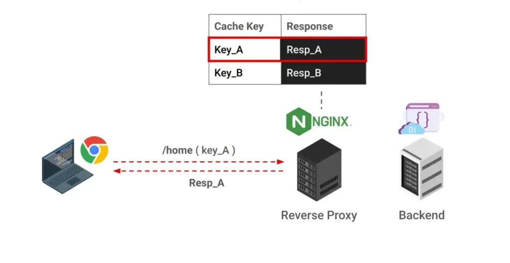 Cache Key Injection: New Nginx Cache Poisoning Flaw Enables Stored XSS, CPDoS