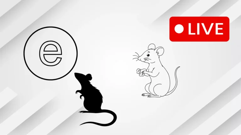 BotHelper RAT Disguised as Microsoft Edge File Streams Victims’ Screens Live to Attackers